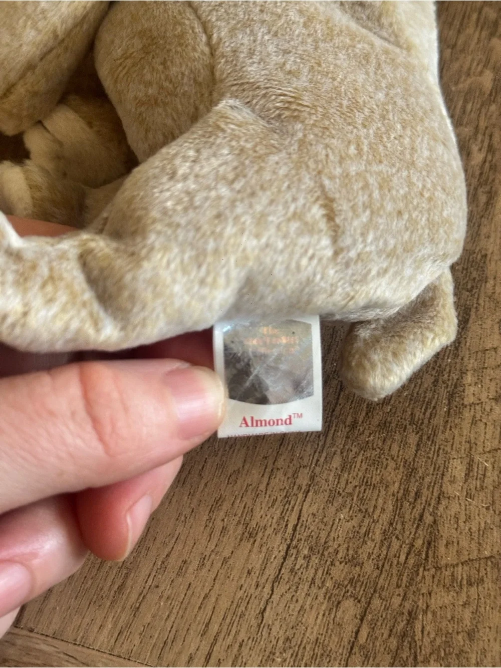 Ty Plush Bear Beanie Baby with Heart Tag - Almond